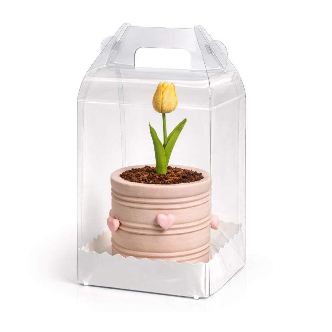 Caja de Acetato Alta 13x13x18cm