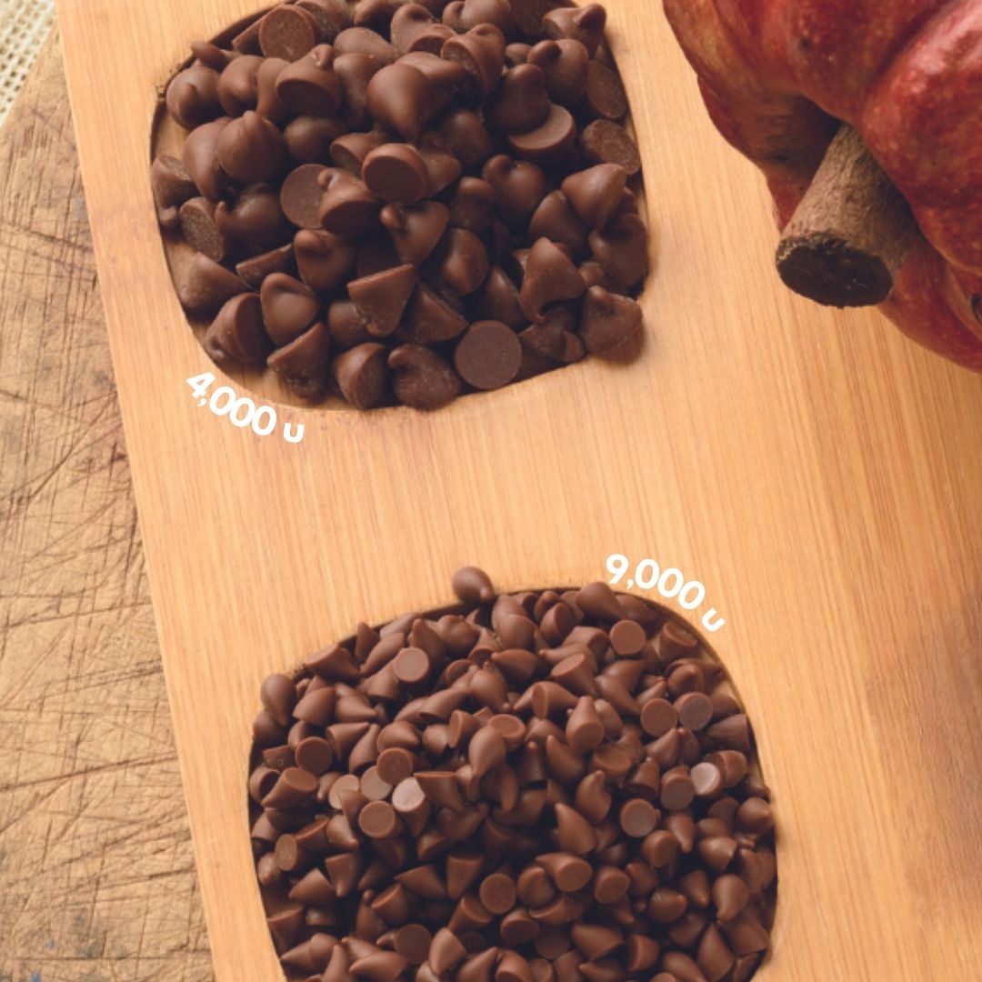 Chips Grandes 4,000 Horneables Cordillera, 1 kg