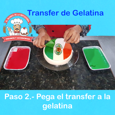 Hoja Transfer Gelatina Redonda