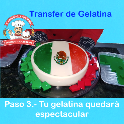 Hoja Transfer Gelatina Redonda