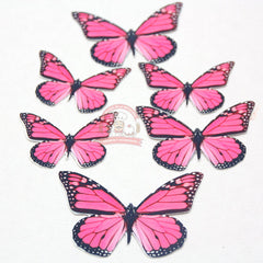 Paquete 7 Mariposas Con Fondo De Color P/ Decorar