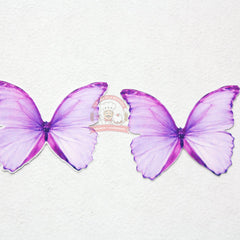 Paquete 7 Mariposas Con Fondo De Color P/ Decorar